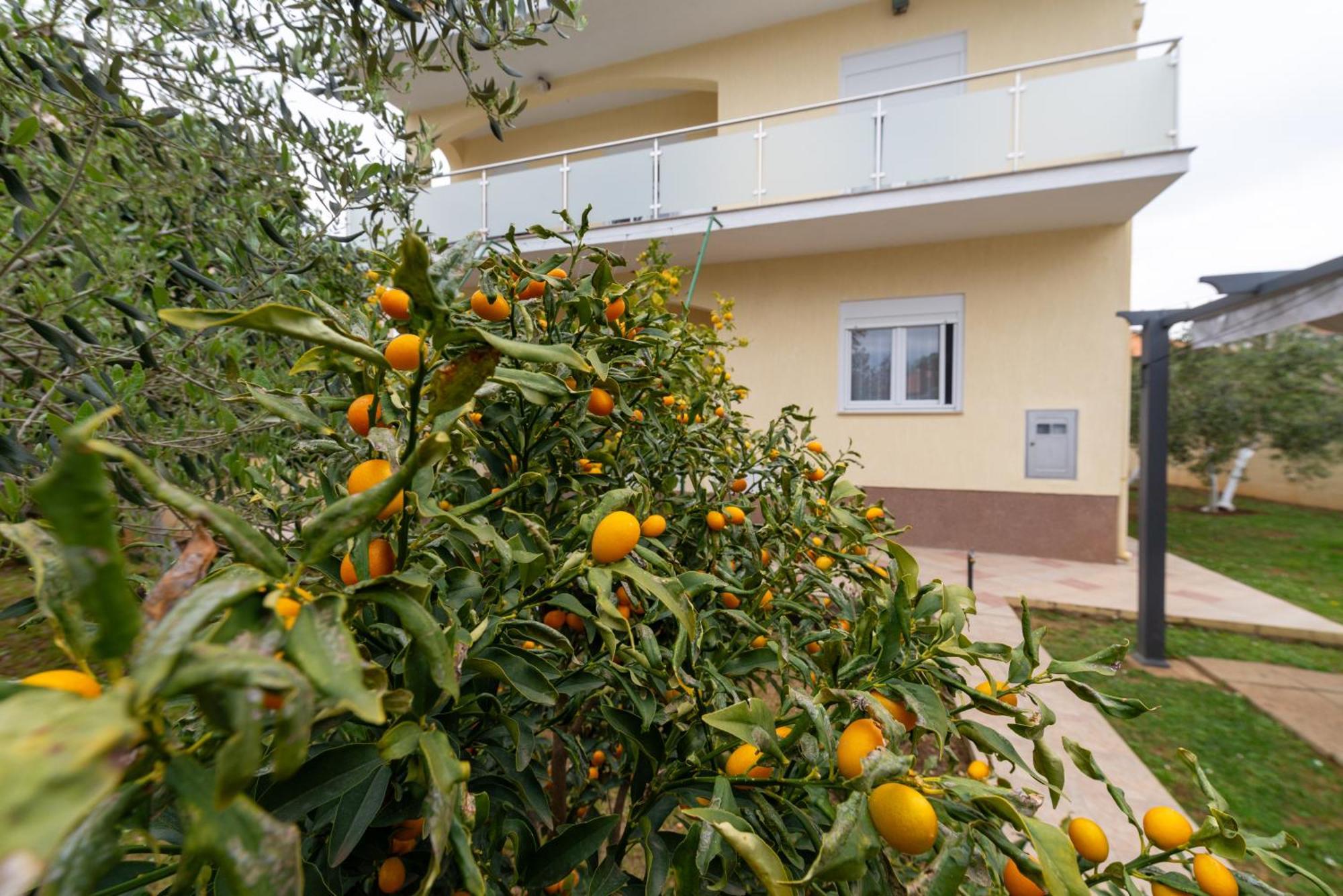 Apartament K&f Borik Zadar