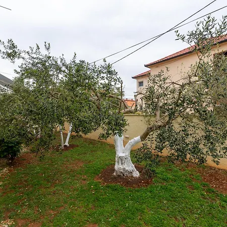 Villa K&F Borik Zadar Exterior photo